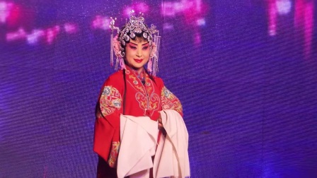 上党落子《司马庄》2017闰六月二十九南垂村