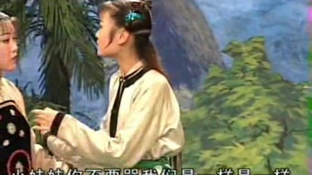 庐剧《二个苦儿相互帮》3下载