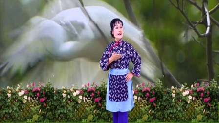 沪剧《芦荡火种》办喜事