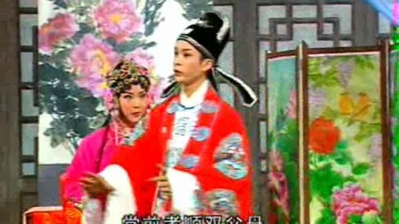 庐剧《张万郎休丁香》3下载
