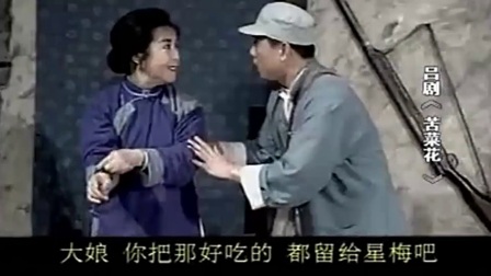 戏曲电影《苦菜花》吕剧字幕版