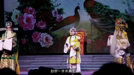 婺剧《龙凤阁》之二进宫