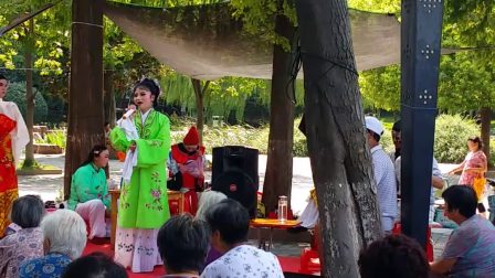 无为庐剧《卖花记》选段
