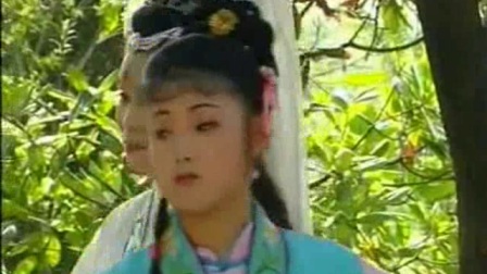 庐剧《杨排风大战北国》3 高清下载