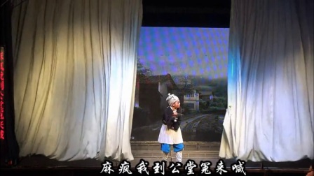 《麻风告状》婺剧