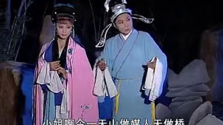 庐剧《兄弟同爱苦命女》1 实景版下载