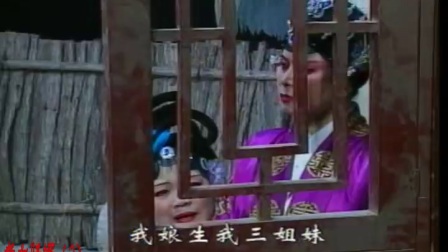 湖南花鼓戏《孝女贤婿》2