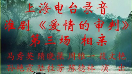 淮剧《爱情的审判》第三场相亲