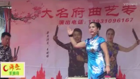河南坠子《少侠包公案》下载
