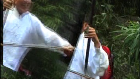 河南坠子《拉荆笆》武松闹店下载