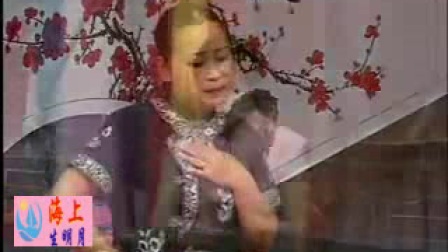 河南坠子《马踏洛阳》全集