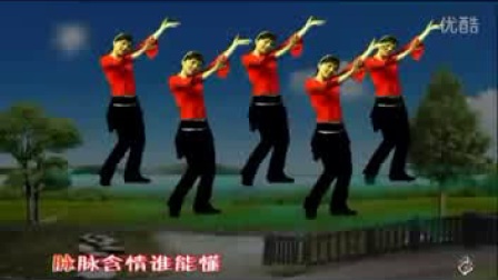 惠汝广场舞《山里红》