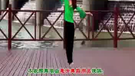 惠汝广场舞全集《醉了醉了》正反面演示