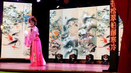 庐剧《秦雪梅观画》演唱者陈曙光