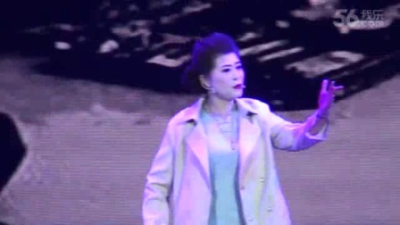 大丰戏曲协会淮剧《雾城》标清版下载