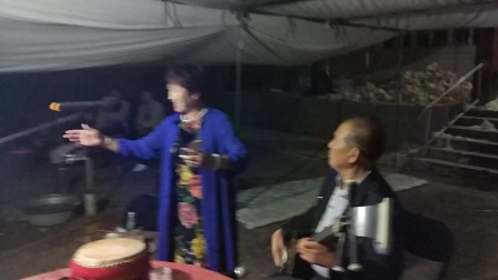西河大鼓《罗成叫关》王俊艳 刘老获下载