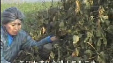 淮剧《苦婆》选段三
