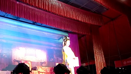 庐剧《狸猫换太子》2下载