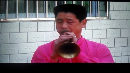 红白喜事(唢呐吹手)