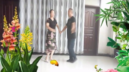月光特亮广场舞《今生的唯一》下载