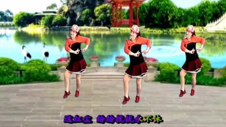 吕芳广场舞特好听歌简单舞《流年似水》正背