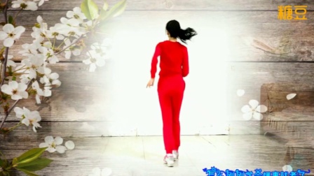 阿采广场舞原创DJ《一晃就老了》简单32步子