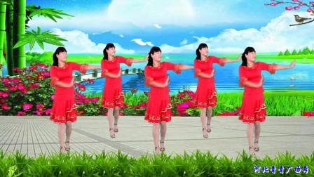 河北青青广场舞《妈妈的吻》附背面演示