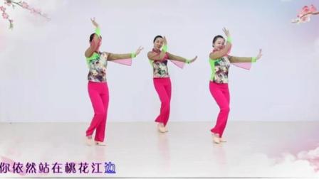 王广成广场舞教学 下载唐豆广场舞 性感广场