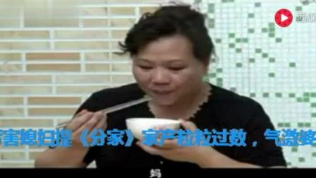 潮汕小品水鸡兄厉害媳妇提《分家》