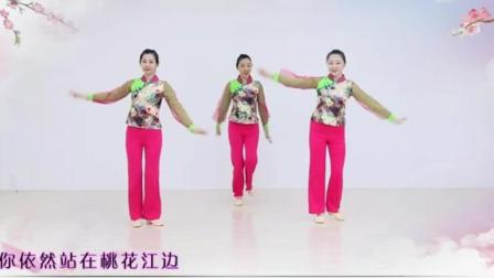 小苹果王广成广场舞教学视频 广场舞吉美广