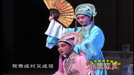 山东茂腔《梁祝》十八相送(上集)下载