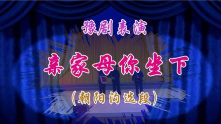豫剧《亲家母你坐下》2018