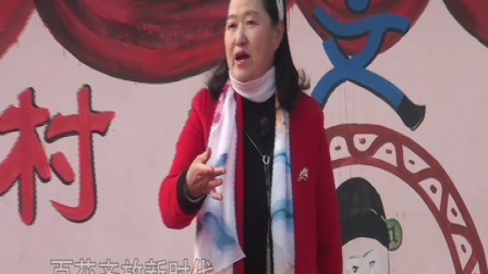 二夹弦 十九大精神放光芒