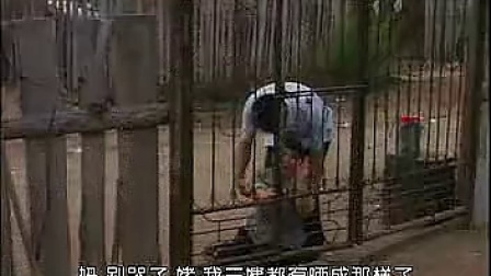 二人转短剧《三女儿拜寿》