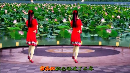 2017最新吕芳广场舞《梨山痴情花》正背面及