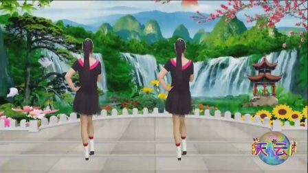 杨丽萍广场舞教学广场舞大全2017下载