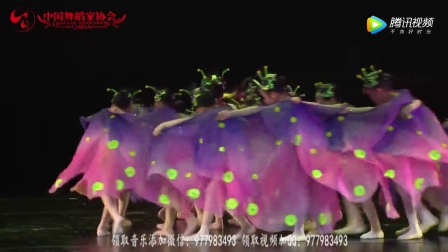 幼儿舞蹈 第九届小荷风采《蛹蝶》