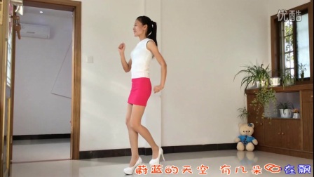 新生代广场舞《因为爱着你》步子舞