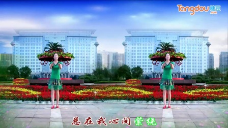 金灿灿广场舞带字幕教学版