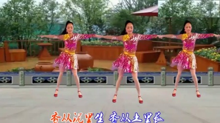 心儿爽秀儿广场舞《亲亲男人香》附阿采教学