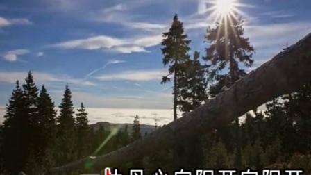 评剧《红梅赞》伴奏带字幕