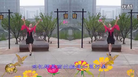 金灿灿广场舞《蝶恋花》