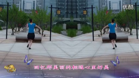 金灿灿广场舞《蝶恋花》标清