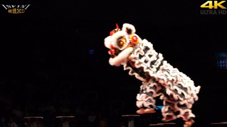 中國深圳松崗比麟堂醒獅團《高雄水陸戲獅甲