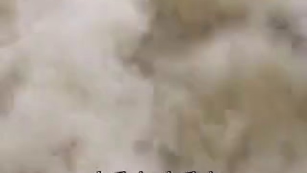 云南山歌剧《儿媳》完整版在线观看
