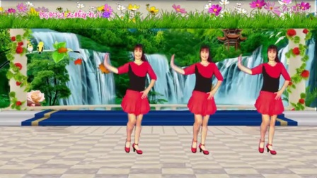 玲玲广场舞广场舞dj《你的过去我不介意》正背面演示下载
