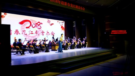 2018迎新春《龙江剧》高清