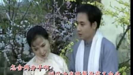 经典版黄梅戏《海滩别》