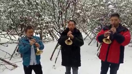 唢呐雪花飘