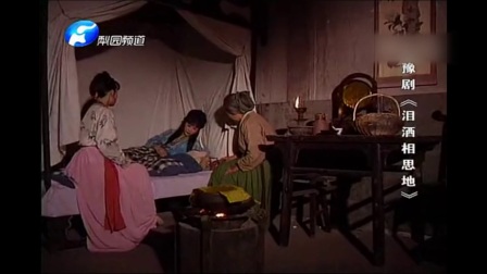 豫剧《泪洒相思地》探病
